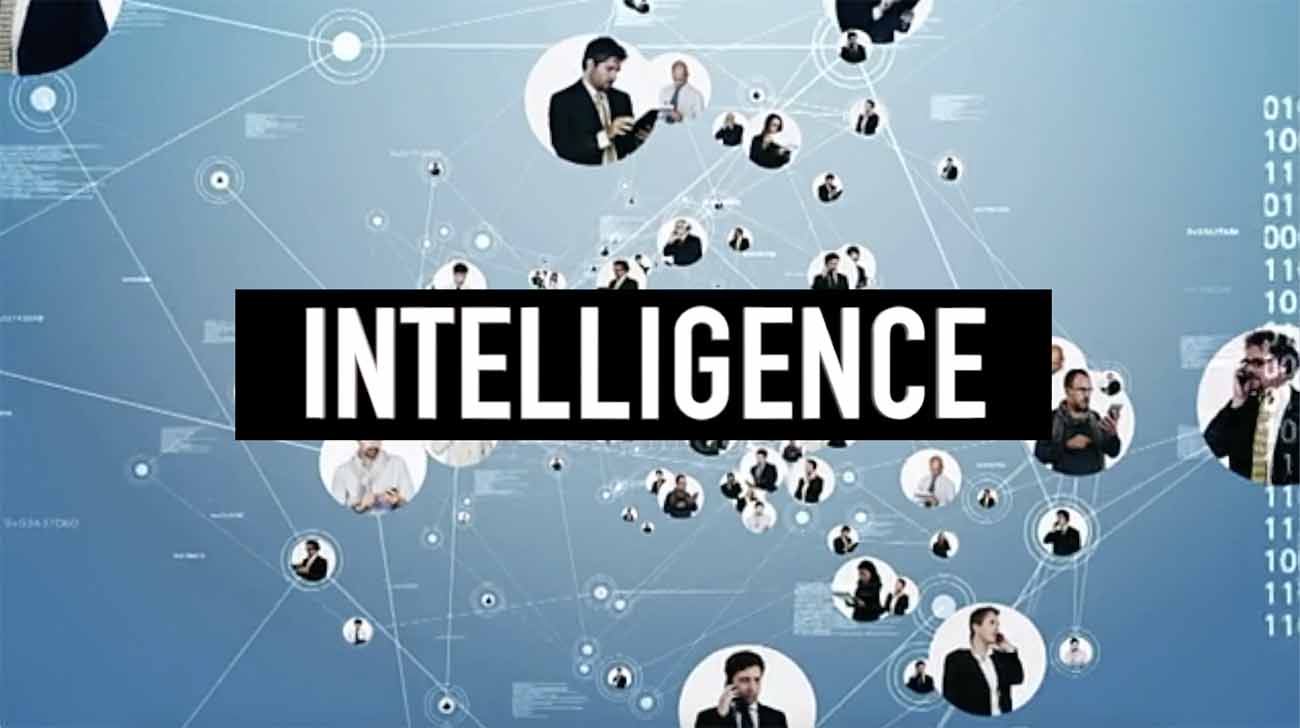 INTELLIGENCE